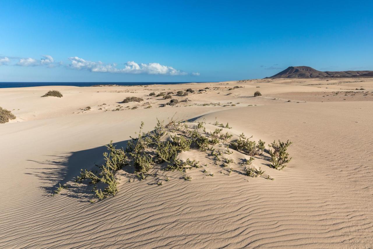 Home2Book Charming Sun & Dunes Apartment Corralejo Bagian luar foto